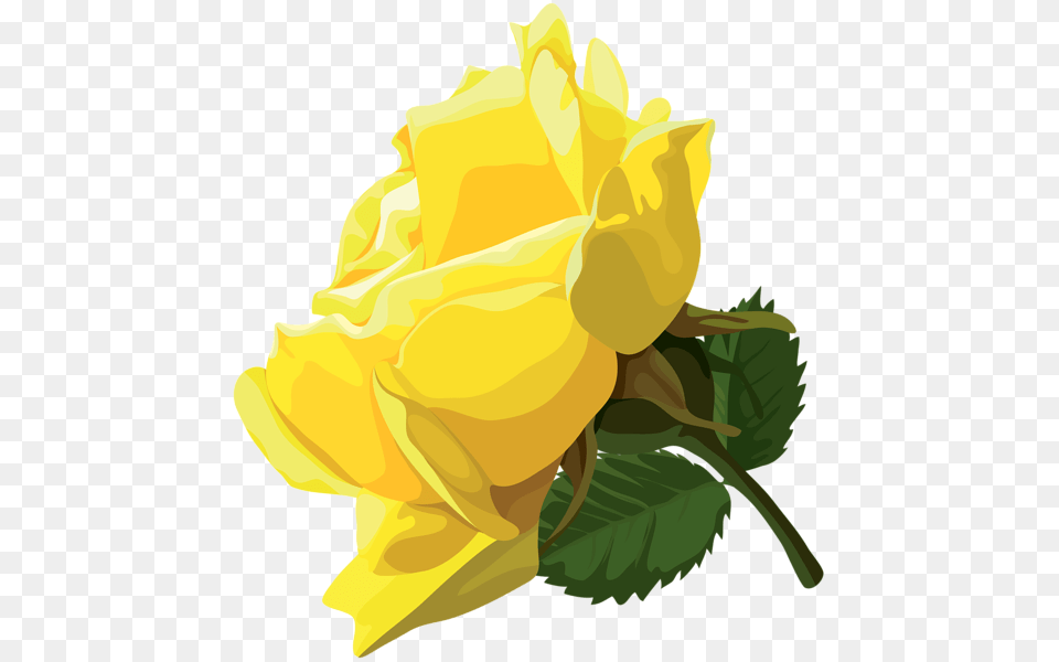 Yellow Rose Clip Art Yellow Rose Icon, Flower, Plant, Petal Free Png