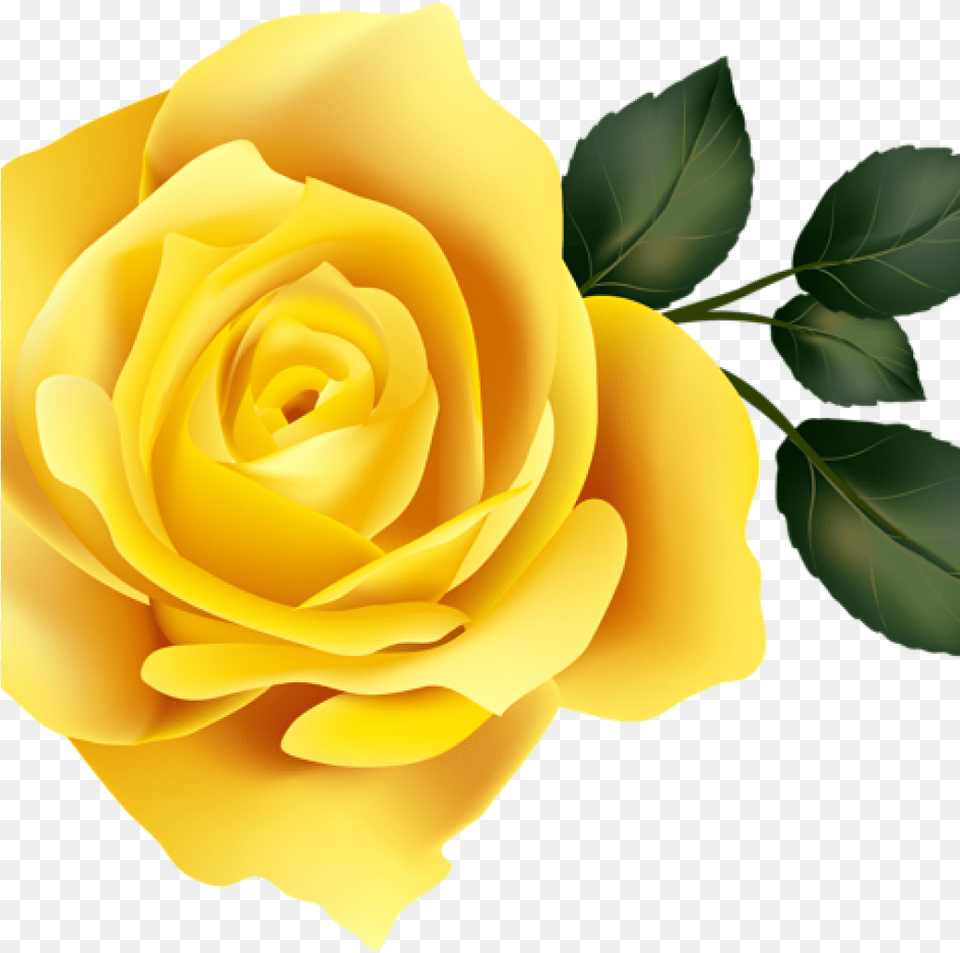 Yellow Rose Clipart 15 Rose Clipart Yellow Rose For Transparent Purple Rose, Flower, Plant, Petal, Food Png