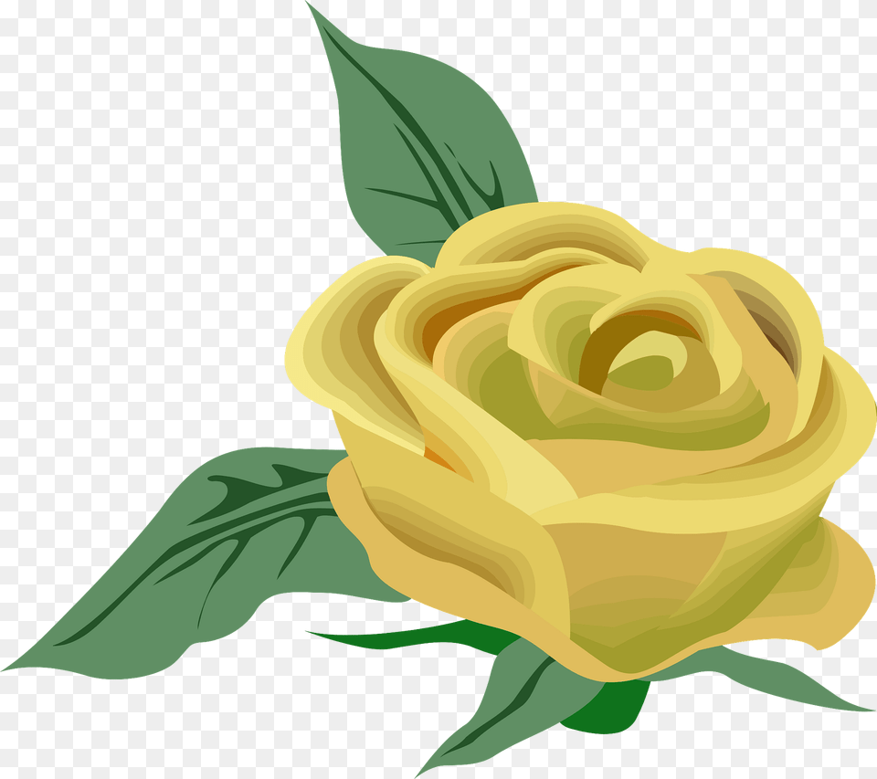 Yellow Rose Clipart, Flower, Plant, Art, Graphics Free Png