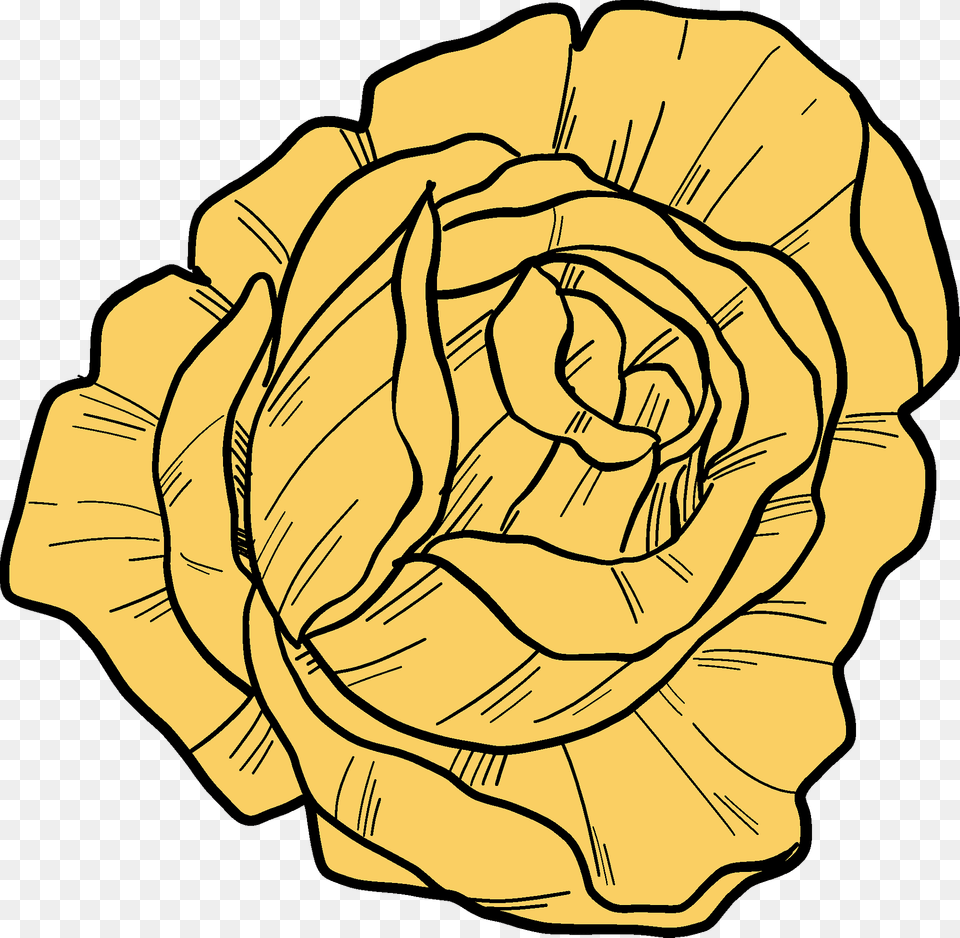 Yellow Rose Clipart, Flower, Plant, Food, Leafy Green Vegetable Free Transparent Png