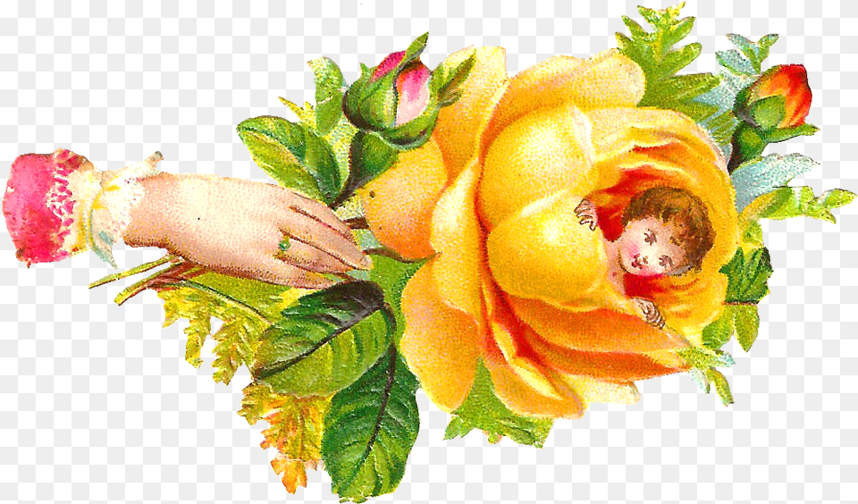 Yellow Rose Clipart Clip Art Bay Baby Rose Love, Plant, Flower, Flower Arrangement, Leaf Png