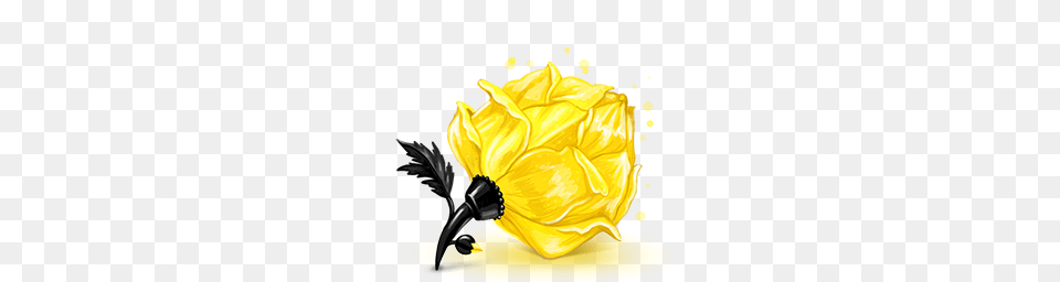 Yellow Rose Cube Icon Cubes Icons Iconspedia, Daffodil, Flower, Petal, Plant Png