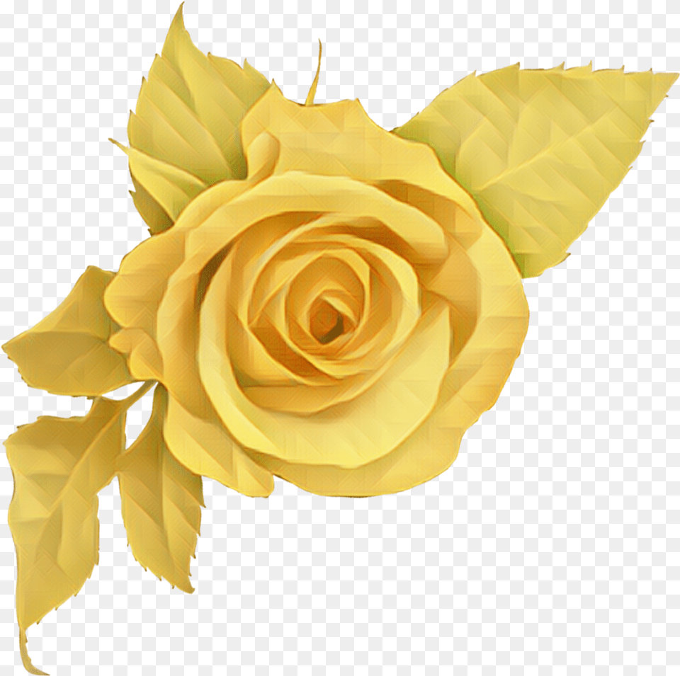 Yellow Rose Flower Yellowrose Sticker By Marras Most Beautiful Flowers Roses, Plant, Leaf, Petal Png