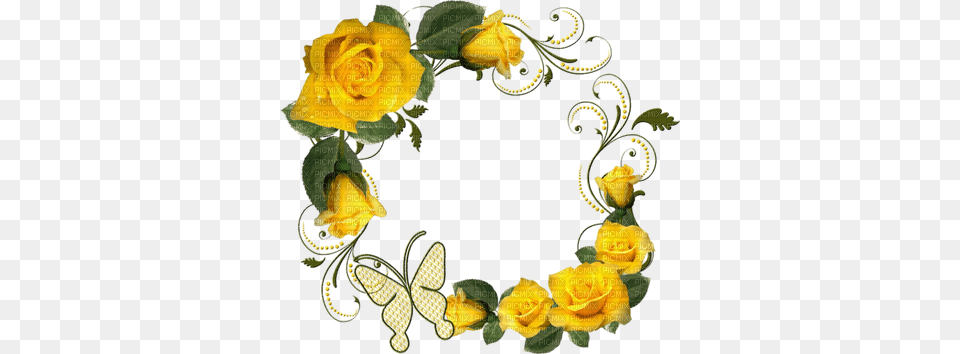 Yellow Rose Frame Jaune Cadre Rose Yellow Rose Frame, Flower, Pattern, Plant, Art Png