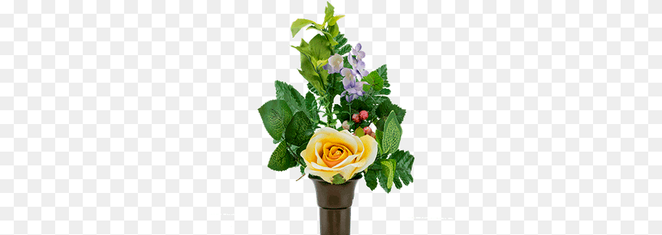 Yellow Rose Garden Roses, Flower, Flower Arrangement, Flower Bouquet, Plant Free Png