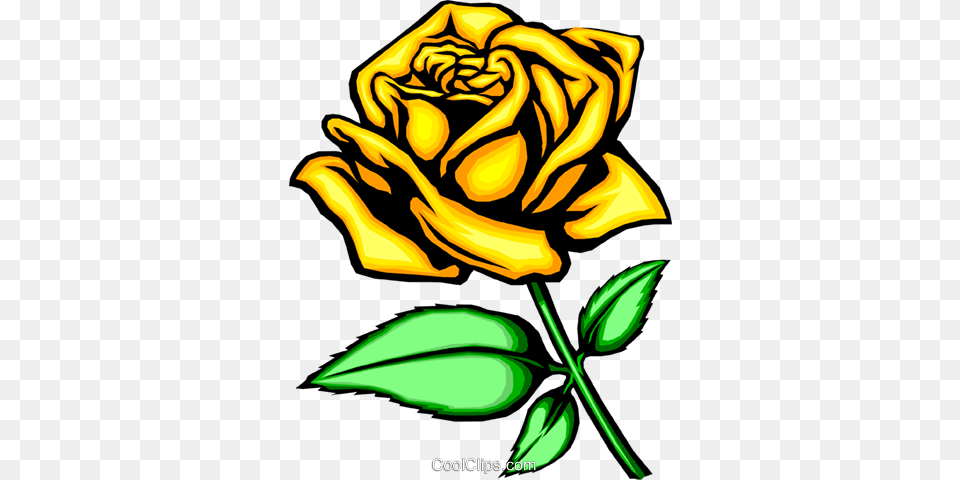 Yellow Rose Royalty Vector Clip Art Illustration, Flower, Plant Free Png