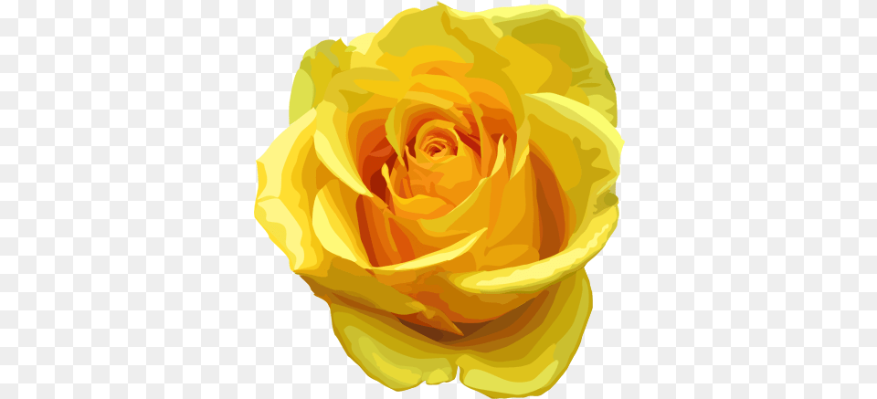 Yellow Rose Transparent Yellow Rose Transparent, Flower, Petal, Plant Png Image