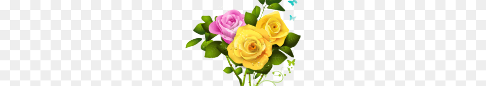 Yellow Rose Vector Clipart, Flower, Flower Arrangement, Flower Bouquet, Plant Free Transparent Png