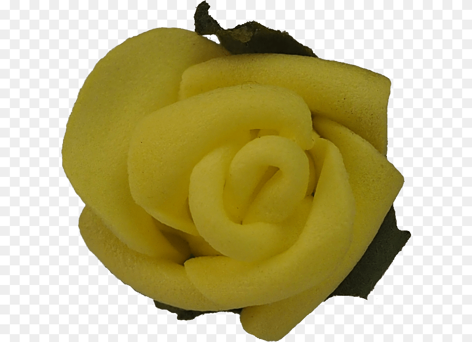 Yellow Roseflowerfreepngtransparentimagesfreedownload, Cream, Dessert, Flower, Food Png Image