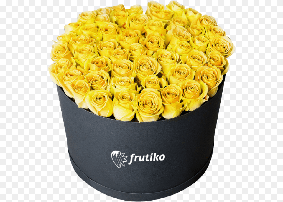 Yellow Roses Black Box Buket Rose, Plant, Flower Bouquet, Flower Arrangement, Flower Png Image