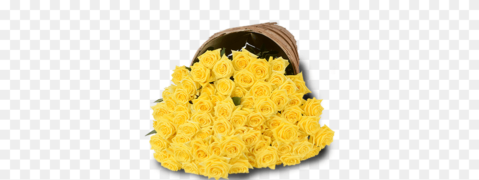 Yellow Roses Bunch Of 100 Yellow Roses, Birthday Cake, Plant, Petal, Food Png Image