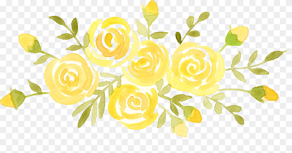 Yellow Roses By Paloma Navio Watercolor Illustration Yellow Rose Watercolor Free Png Image