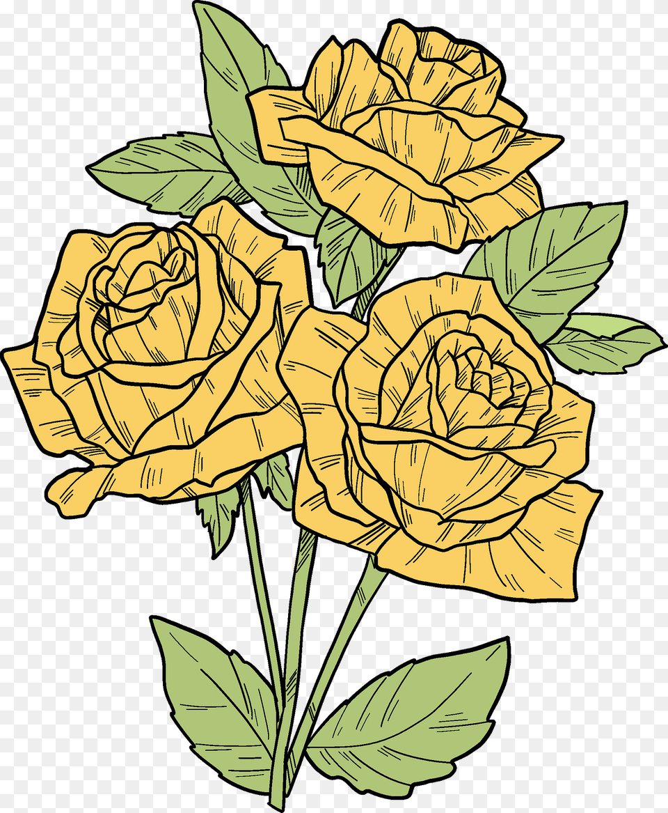 Yellow Roses Clipart, Flower, Plant, Rose, Art Free Png Download