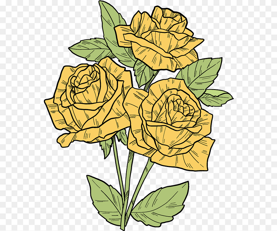 Yellow Roses Clipart Garden Roses, Flower, Plant, Rose, Art Png Image