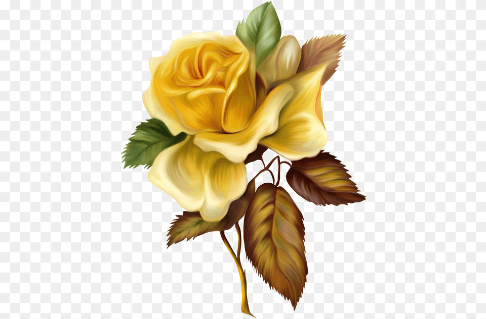 Yellow Roses F Painting Flower Transparent, Plant, Rose, Art, Pattern Png Image
