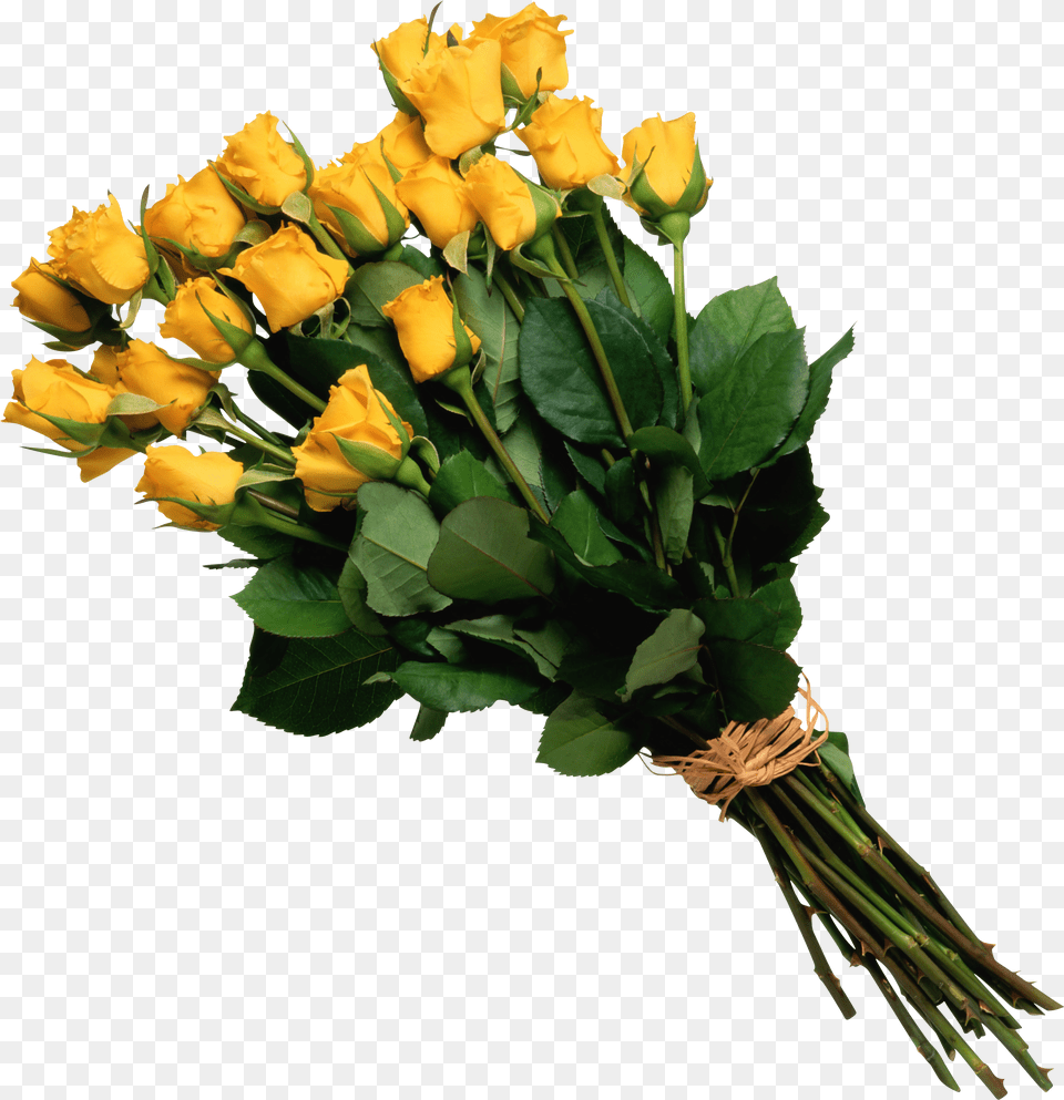 Yellow Roses Flower Bouquet Transparent Png