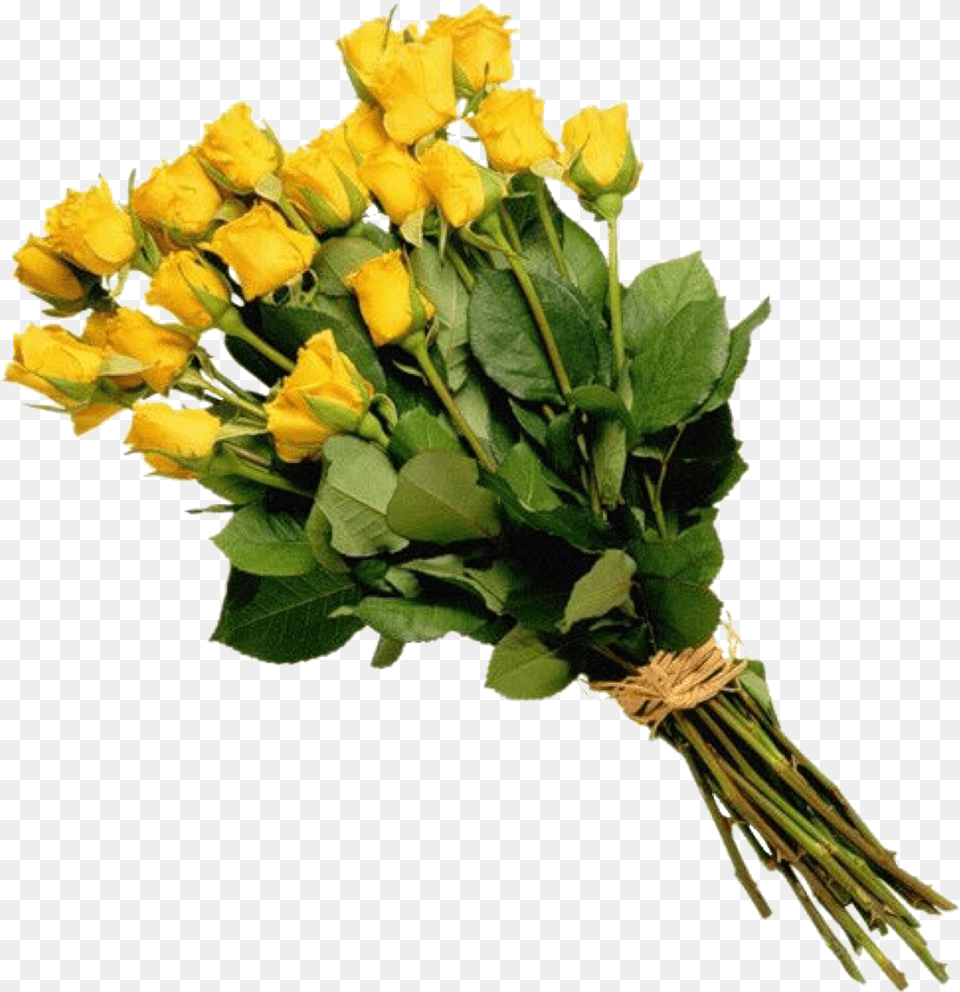 Yellow Roses Flowers Gif Buy Flowers Bouquet Tags Flower Bouquet, Flower Arrangement, Flower Bouquet, Plant, Rose Free Transparent Png