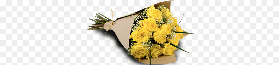 Yellow Roses Yellow Roses Bouquet, Flower, Flower Arrangement, Flower Bouquet, Plant Free Png