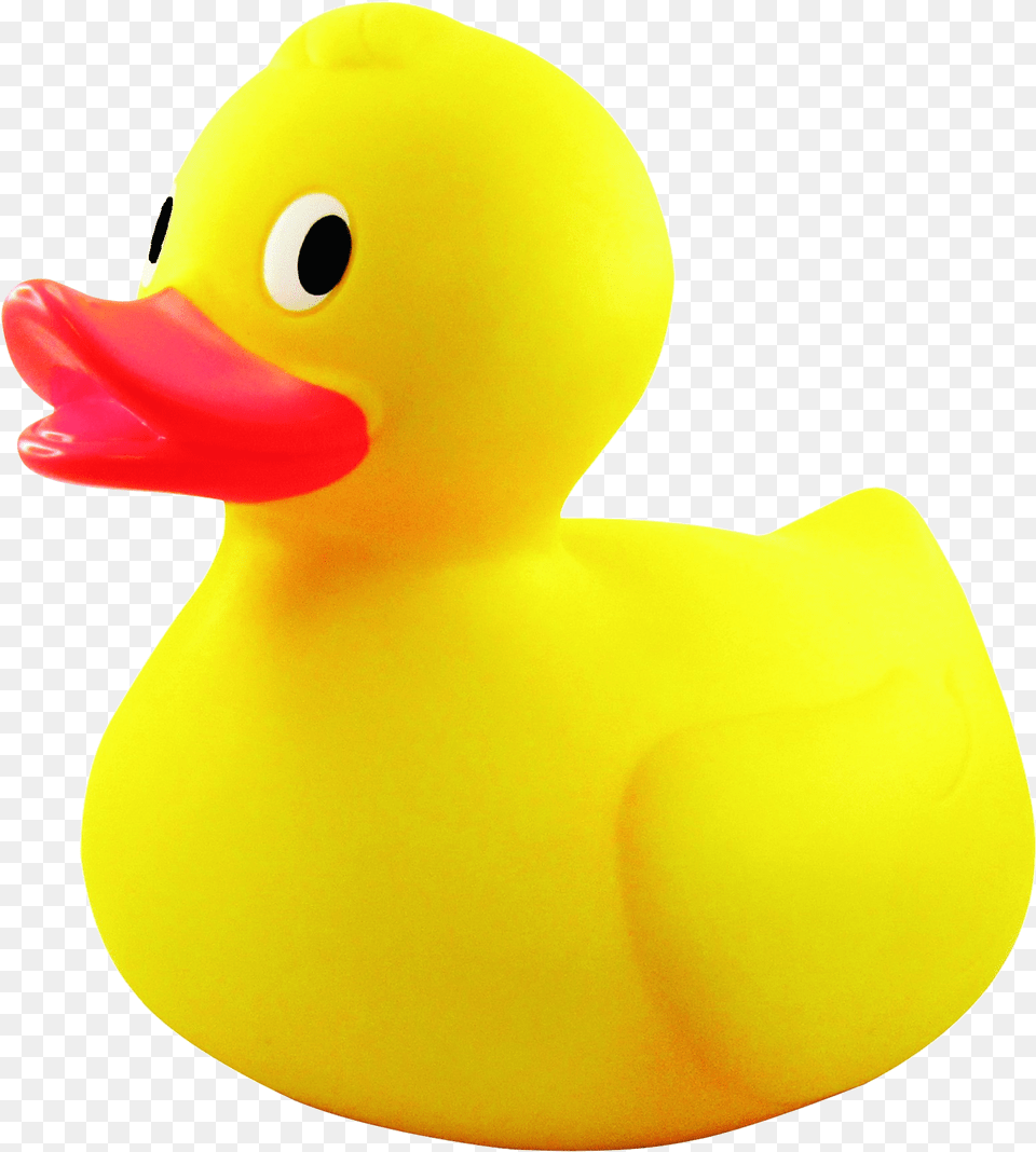 Yellow Rubber Duck Transparent, Animal, Bird, Beak Png