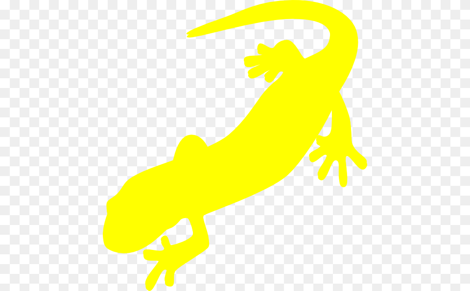 Yellow Salamander Clip Art, Animal, Gecko, Lizard, Reptile Free Png Download