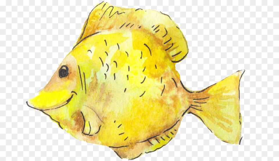 Yellow Small Fish Transparent, Animal, Sea Life Png Image