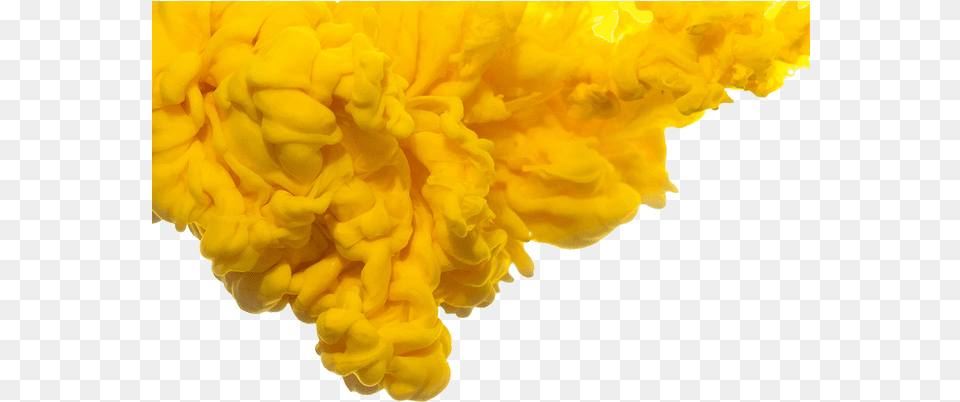Yellow Smoke Image Yellow Smoke, Home Decor, Flower, Petal, Plant Png