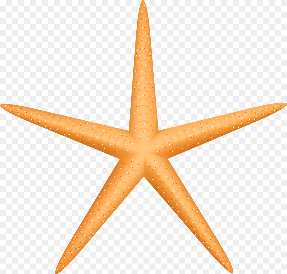 Yellow Starfish Clip Art Free Png Download