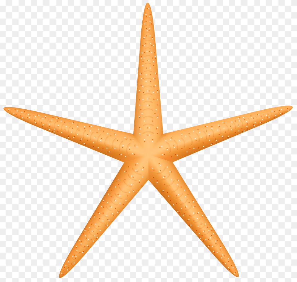 Yellow Starfish Clip Art Free Png