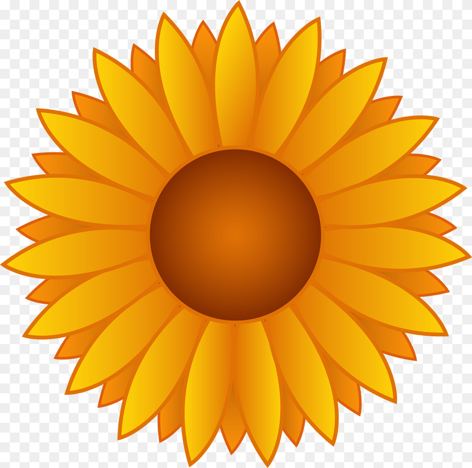 Yellow Sunflower Vector Art, Dahlia, Daisy, Flower, Plant Free Transparent Png