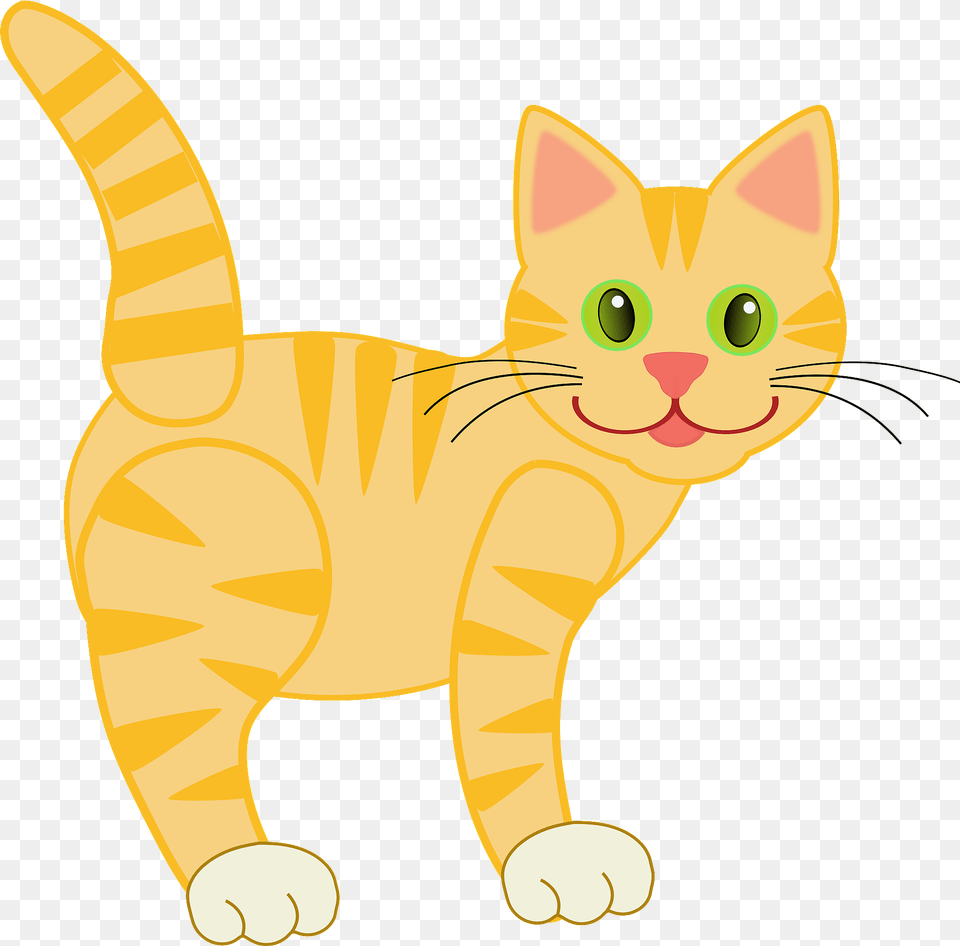 Yellow Tiger Cat Clipart, Animal, Mammal, Pet, Manx Png Image