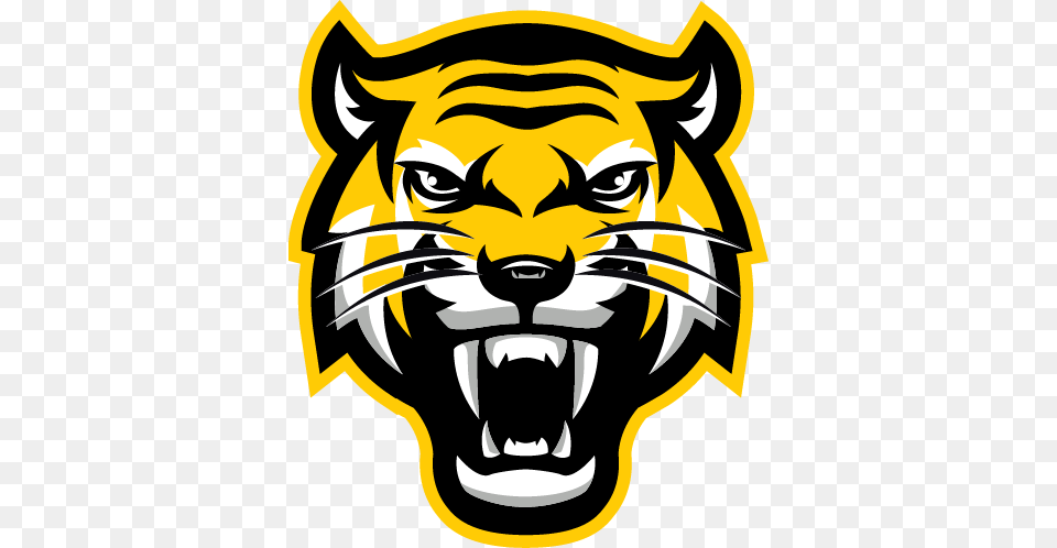 Yellow Tigers Karate Jones High School Logo, Baby, Person, Face, Head Png