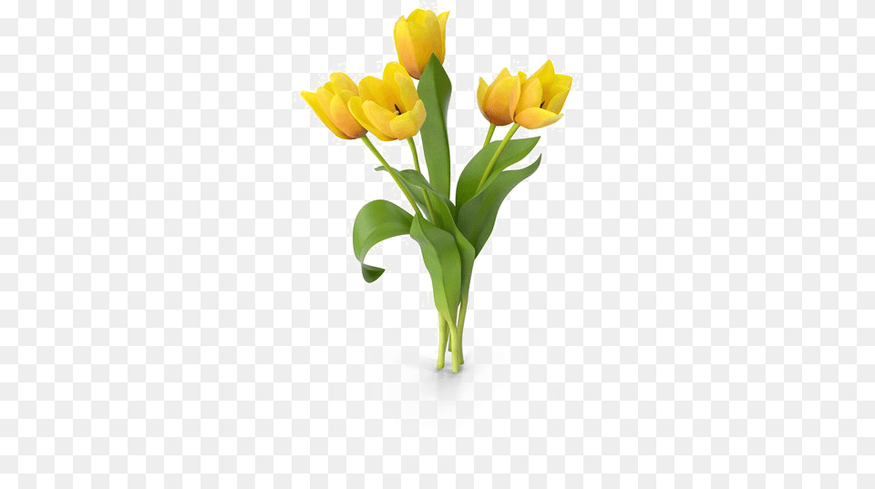 Yellow Tulip Artificial Flower, Plant Free Transparent Png