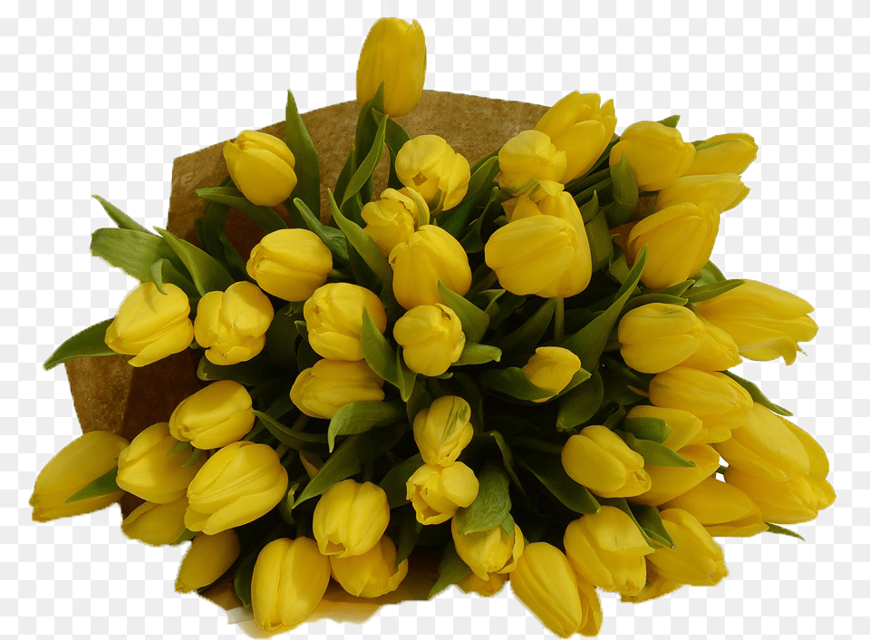 Yellow Tulips Bouquet, Flower, Flower Arrangement, Flower Bouquet, Plant Png