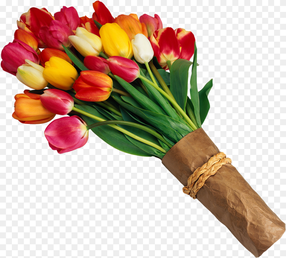 Yellow Tulips Retirement Wishes In Telugu, Flower, Flower Arrangement, Flower Bouquet, Plant Free Transparent Png