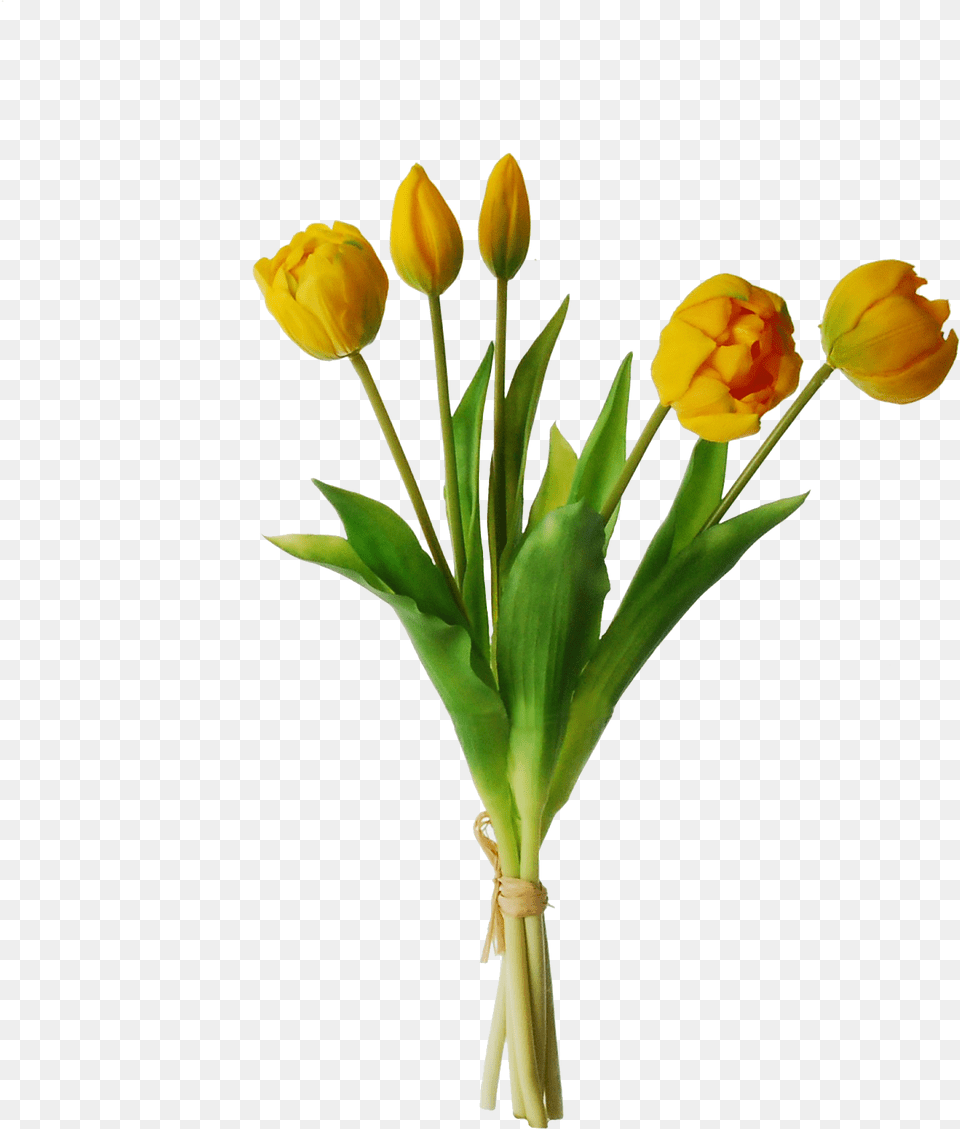 Yellow Tulips Transparent Image Tulip, Flower, Flower Arrangement, Plant, Flower Bouquet Free Png Download