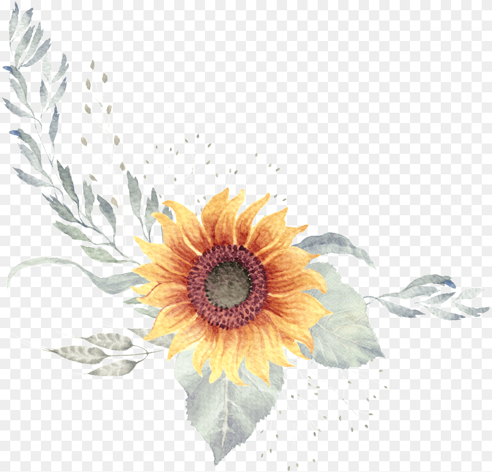 Yellow Watercolor Hand Painted Flower Plant Transparent Rotwild Geweih U Grn Save The Date Quadrat Karte, Art, Graphics, Pattern, Sunflower Png Image