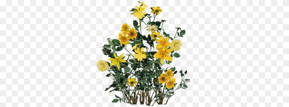 Yellow Wildflowers Sunshine3 Picmix Wort, Flower Bouquet, Plant, Flower, Flower Arrangement Free Transparent Png