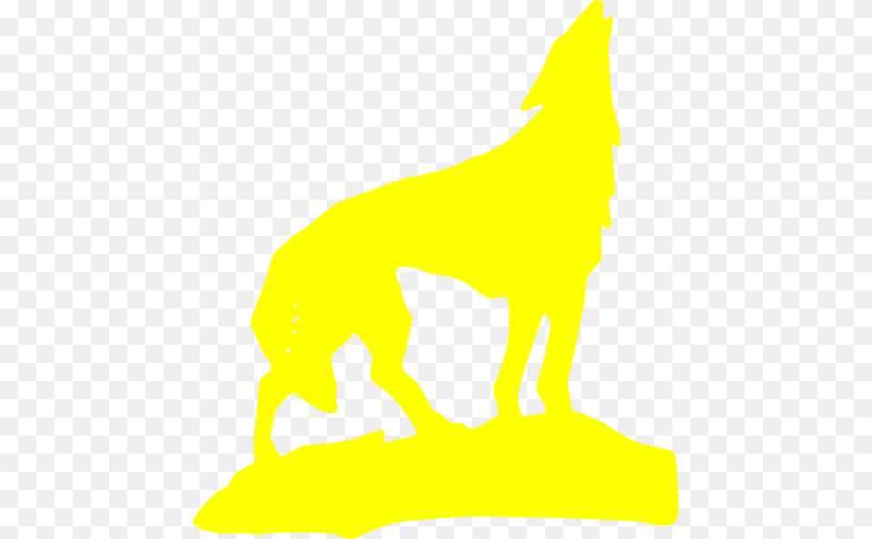 Yellow Wolf, Animal, Coyote, Mammal, Baby Free Png Download