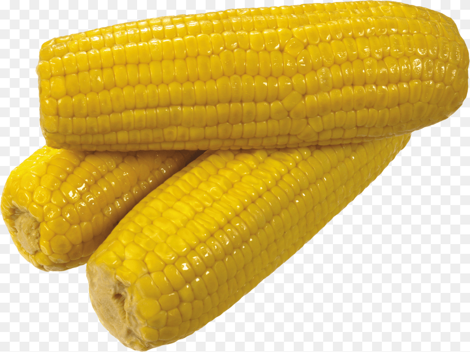 Yellow Yellow Corn, Animal, Food, Produce, Reptile Free Png Download