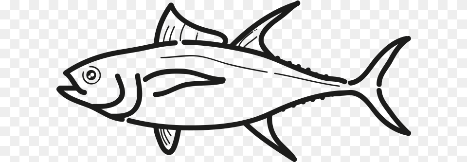 Yellowfin Tuna Atlantic Bluefin Tuna, Animal, Bonito, Fish, Sea Life Png Image