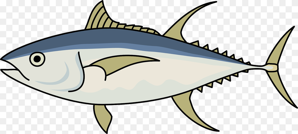 Yellowfin Tuna Fish Clipart, Animal, Bonito, Sea Life, Shark Free Png Download