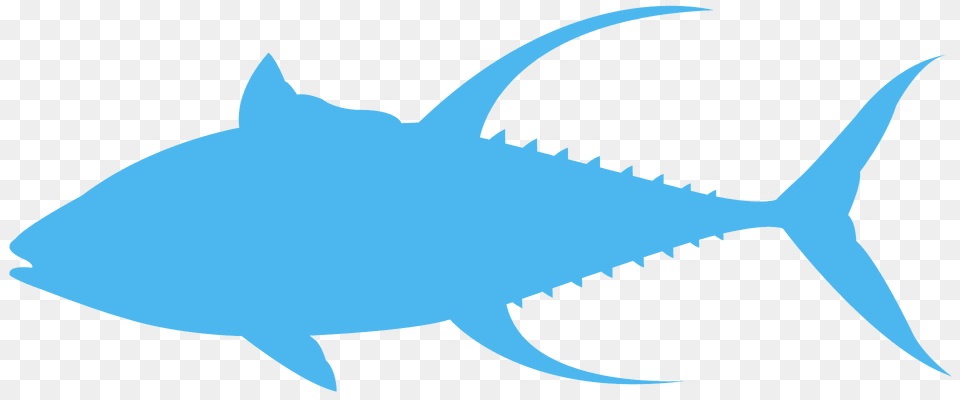 Yellowfin Tuna Silhouette, Animal, Fish, Sea Life, Shark Png Image