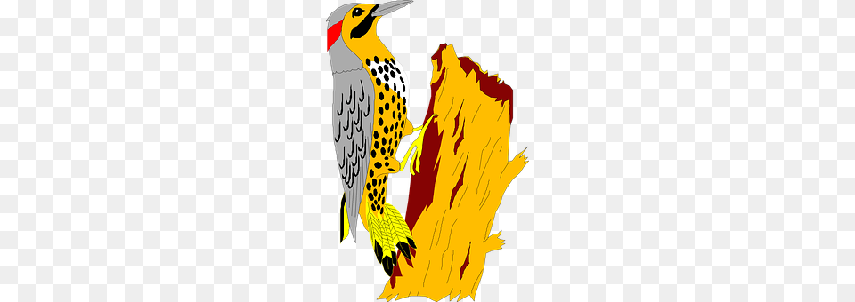 Yellowhammer Animal, Bird, Woodpecker, Adult Free Png