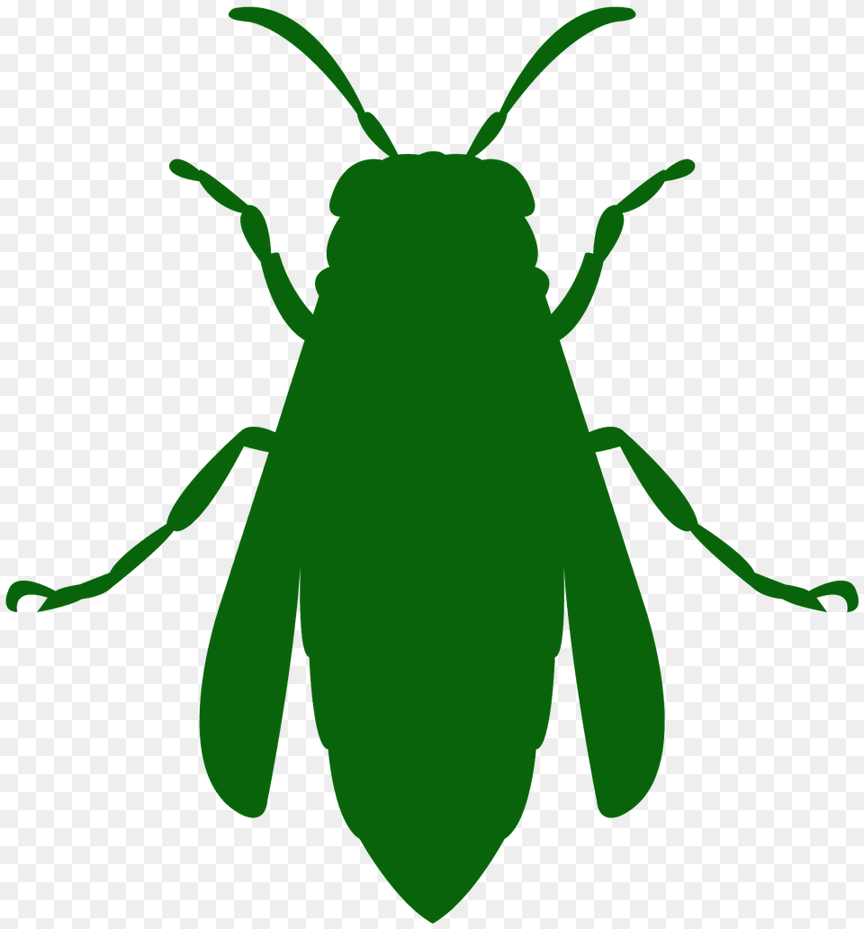 Yellowjacket Silhouette, Animal, Person Free Transparent Png