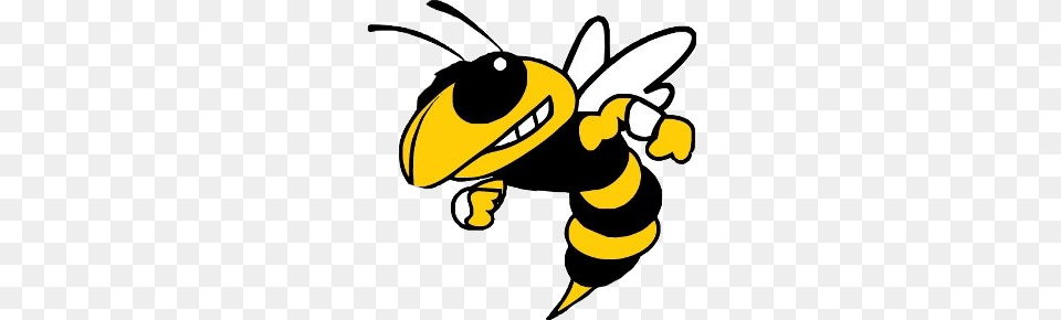 Yellowjacket Yellowjackets Mascot Yellow Blackandyellow, Animal, Invertebrate, Insect, Bee Free Transparent Png