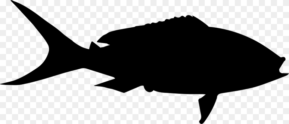Yellowtail Fish Shape Icon Download, Silhouette, Animal, Sea Life, Shark Free Png