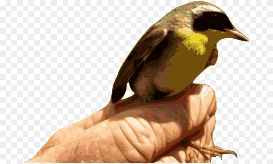 Yellowthroat Bird Bird, Animal, Hand, Finger, Finch Free Png