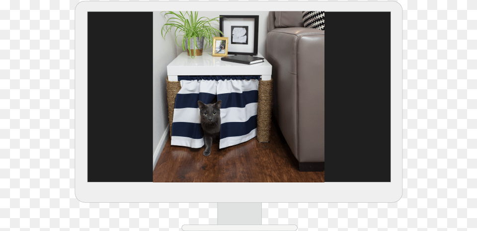 Yesler Our Work Device Template Zillow C8 Litter Box, Wood, Room, Plant, Living Room Free Transparent Png