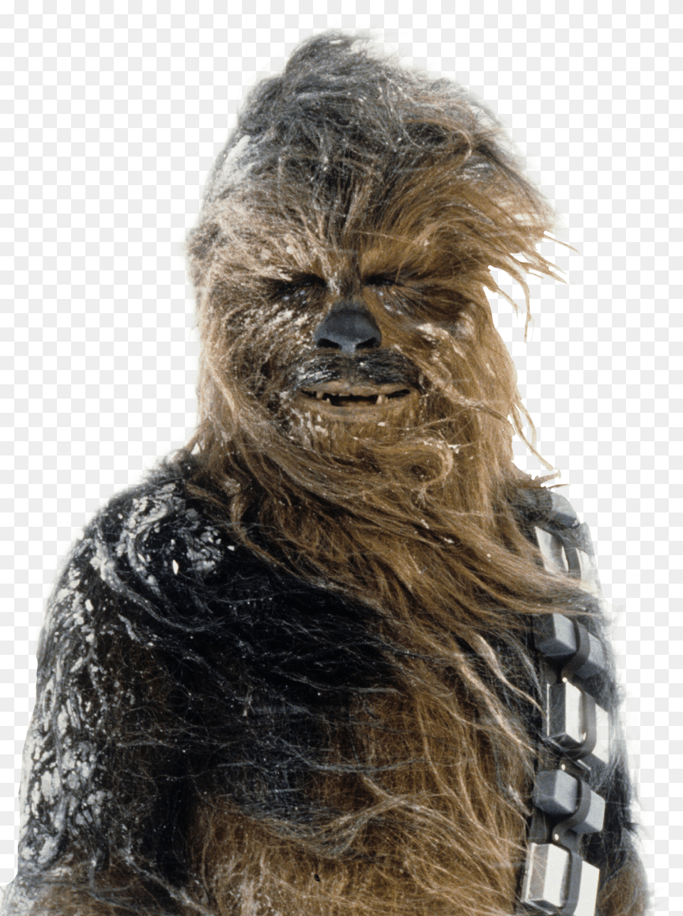 Yeti De Star Wars Transparent Cartoon Chewbacca Png