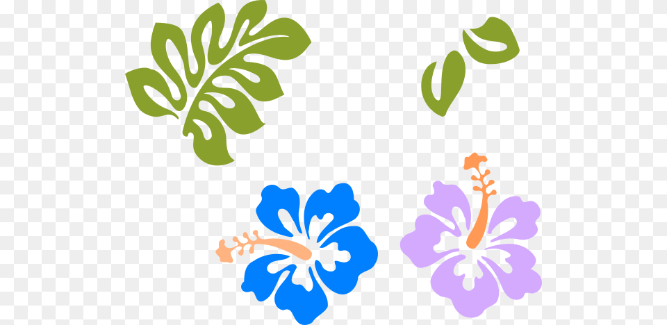 Yeti Label Clip Art, Flower, Hibiscus, Plant Free Png Download